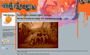 tenplaters com website